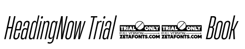HeadingNow Trial 23 Book