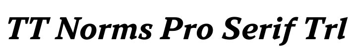 TT Norms Pro Serif Trl Font Image