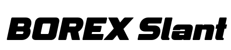 BOREX Slant Font Image