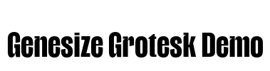Genesize Grotesk Demo Font Image