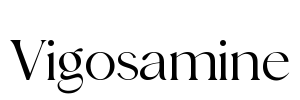 Vigosamine Font Image