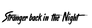 Stranger back in the Night Font Image