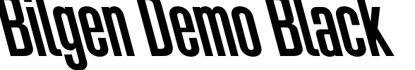 Bilgen Demo Black Font Image