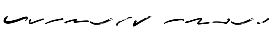 Amnesty Swash Font Image