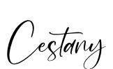 Cestany Font Image