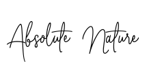 Absolute Nature Font Image