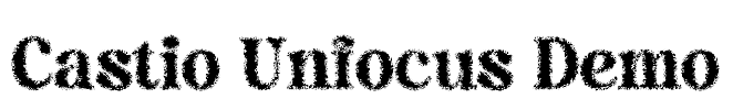 Castio Unfocus Demo Font Image