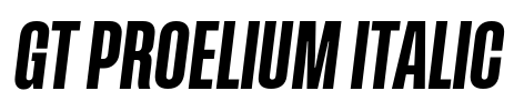 GT Proelium Italic Font Image