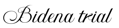 Bidena trial Font Image