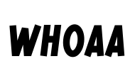 WHOAA Font Image