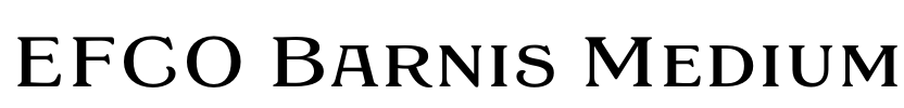 EFCO Barnis Medium Font Image
