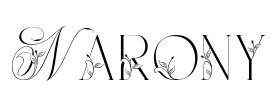 Narony Font Image