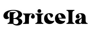 Bricela Font Image