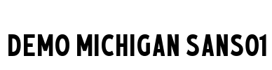 Demo Michigan Sans01 Font Image