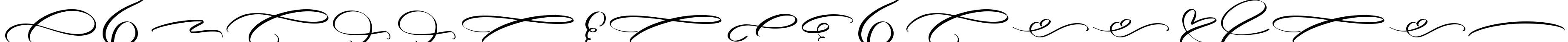 Angella Gardness Swash Font Image
