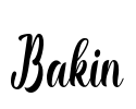 Bakin Font Image