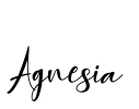 Agnesia Font Image