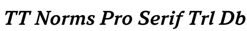 TT Norms Pro Serif Trl Db