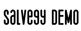 Salvegy DEMO Font Image