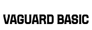 VAGUARD BASIC
