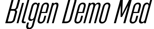 Bilgen Demo Med Font Image