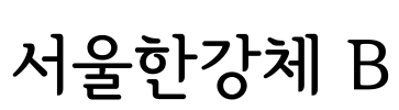 서울한강체 B Font Image