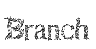 Branch Font Image