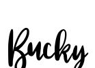 Bucky Font Image