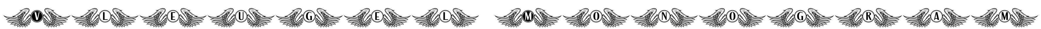 Vleugel Monogram Font Image