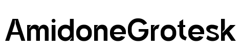 AmidoneGrotesk Font Image
