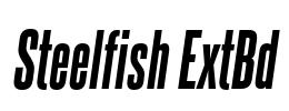Steelfish ExtBd