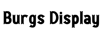 Burgs Display Font Image
