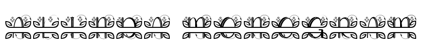 ALINDA MONOGRAM Font Image