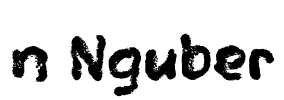 n Nguber Font Image