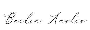 Baiden Amelie Font Image