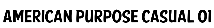 American Purpose Casual 01 Font Image