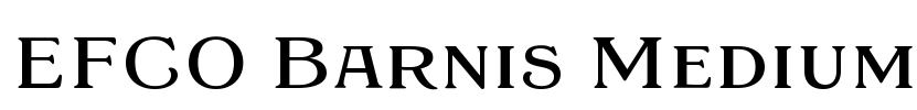 EFCO Barnis Medium Font Image