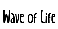 Wave of Life Font Image