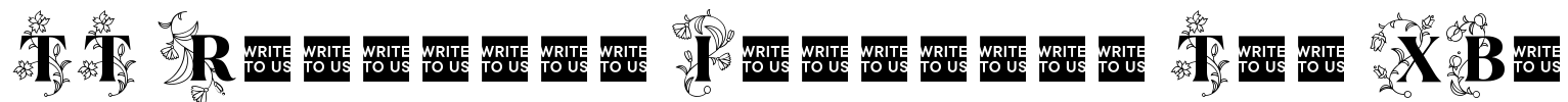 TT Ramillas Initials Trl XBd Font Image