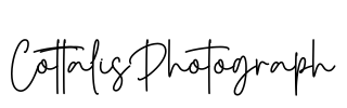 CottalisPhotograph Font Image