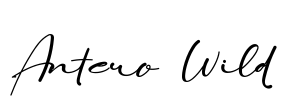 Antero Wild Font Image