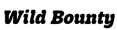 Wild Bounty Font Image