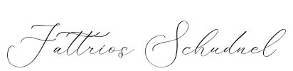 Fattrios Schudnel Font Image