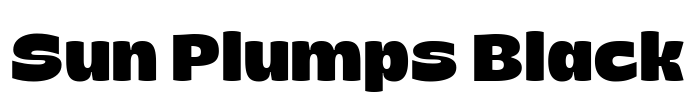 Sun Plumps Black Font Image