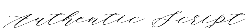 Authentic Script Font Image