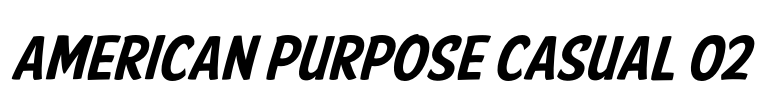 American Purpose Casual 02 Font Image