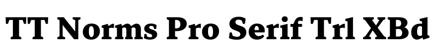 TT Norms Pro Serif Trl XBd Font Image