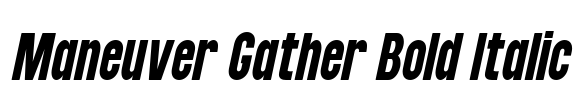 Maneuver Gather Bold Italic Font Image
