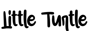Little Turtle Font Image