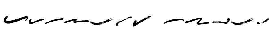 Amnesty Swash Font Image